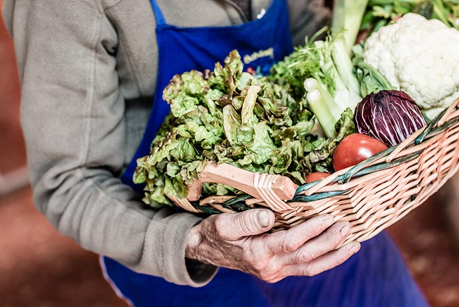 Insalate del contadino