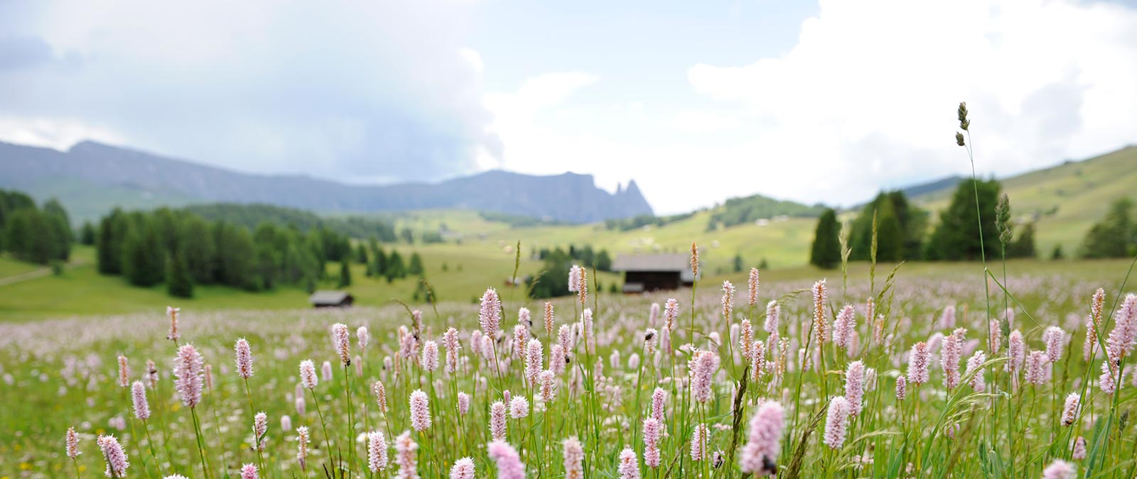 Hotel Stefaner - Excursions