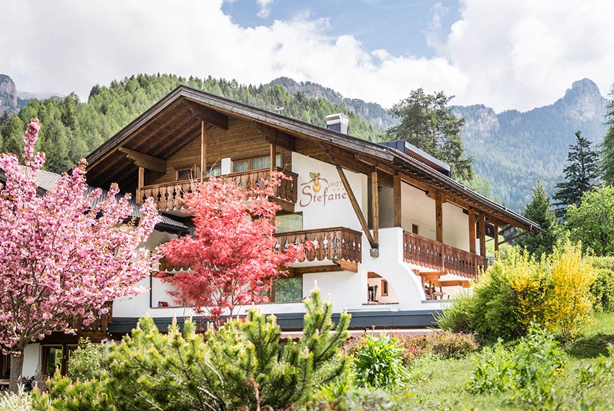 Urlaub mitten im Grünen